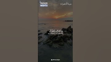 سورة آل عمران | مشاري العفاسي | راحه