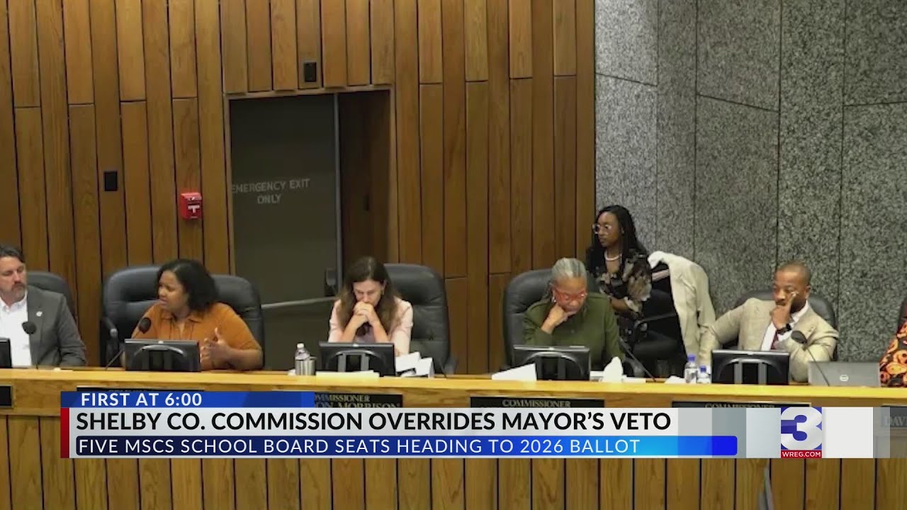 Commissioner explains why she voted to override mayor's veto on school board elections