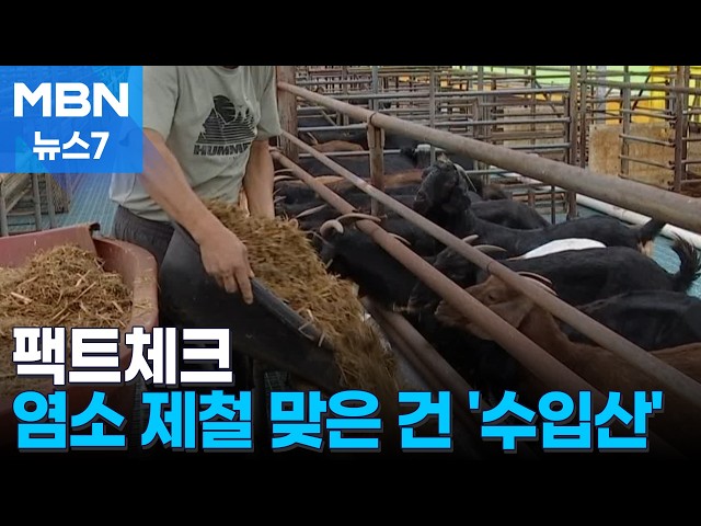 [팩트체크] 개 식용 금지에 국내 염소 농가 호황? "운영난 극심" [MBN 뉴스7]