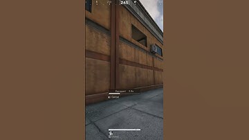 what a fun operator Sineva is!! #deltaforce #deltaforcegame