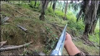 Himpunan video menembak 🐗babi hutan || tembakannya tepat pada sasaran.