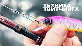 видео: ТЕХНИКА ТВИТЧИНГА ВОБЛЕРОВ для НОВИЧКОВ на щуку и жереха. Правильные снасти, приманки. Частые ошибки картинка: ТЕХНИКА ТВИТЧИНГА ВОБЛЕРОВ для НОВИЧКОВ на щуку и жереха. Правильные снасти, приманки. Частые ошибки