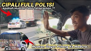 Download Lagu SALAM 5O⁉️RENDI KASIH LAMBAI KE POL1SI SUPAYA TETAP LANJUT JALAN MP3 Download Lagu SALAM 5O⁉️RENDI KASIH LAMBAI KE POL1SI SUPAYA TETAP LANJUT JALAN MP3