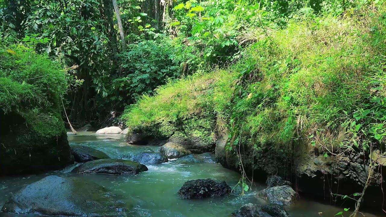 Sound of River Stream – Moss Glen — no noise, only flow.