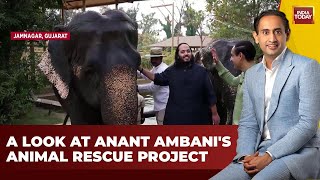 Anant Ambani's Animal Rescue Mission Unveiled on Jab We Met With Rahul Kanwal | India Today News