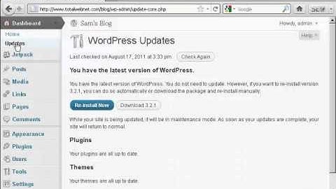 Video 17   How to Upgrade Wordpress Themes Automatically