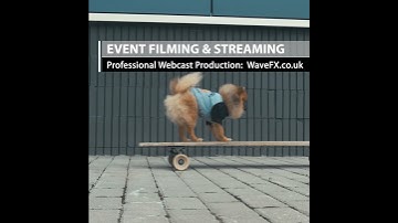 Event Filming and Streaming Company - WaveFX
