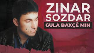 Zinar Sozdar - Dilo Şewitiyo Resimi