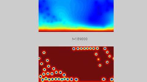 Reaction-diffusion-convection with strongly endothermic reaction 2