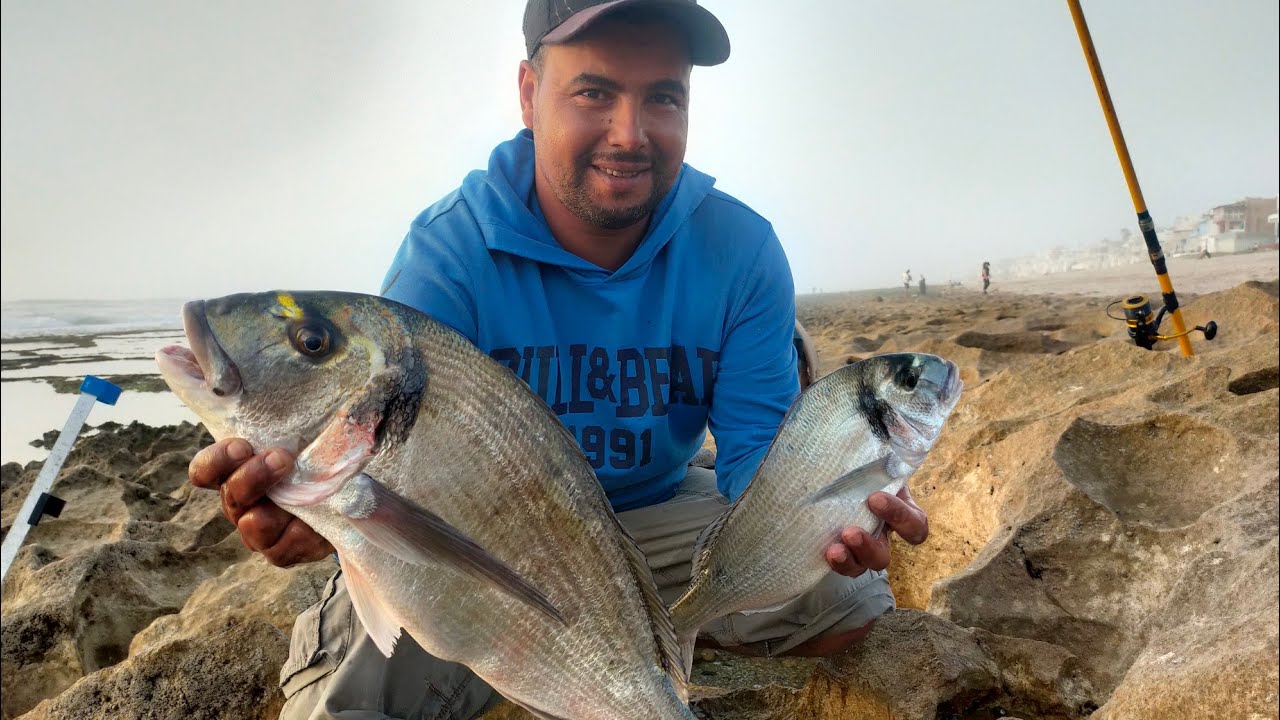 صيد السمك زريقه مع الرايس سيمو طعم العكريش طعم البوبيط