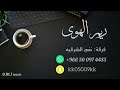 ريم الهوى عادك الا صغير انا احبك 2022 نغم الشرقيه ريم الهوى عادك الا صغير انا احبك 2022 نغم الشرقيه