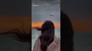 Bu Həyatda Dost Yoxdur Dost Sadəcə Özünüzsünüz