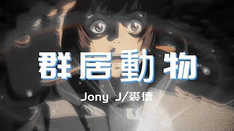 Jony J/裘德-群居動物『幹嘛總是在乎那些沒有用的面子』【動態歌詞Lyrics】 - 天天要聞