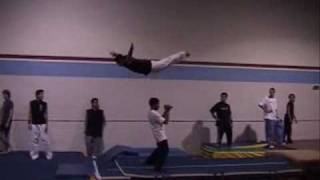 team ryouko david belle