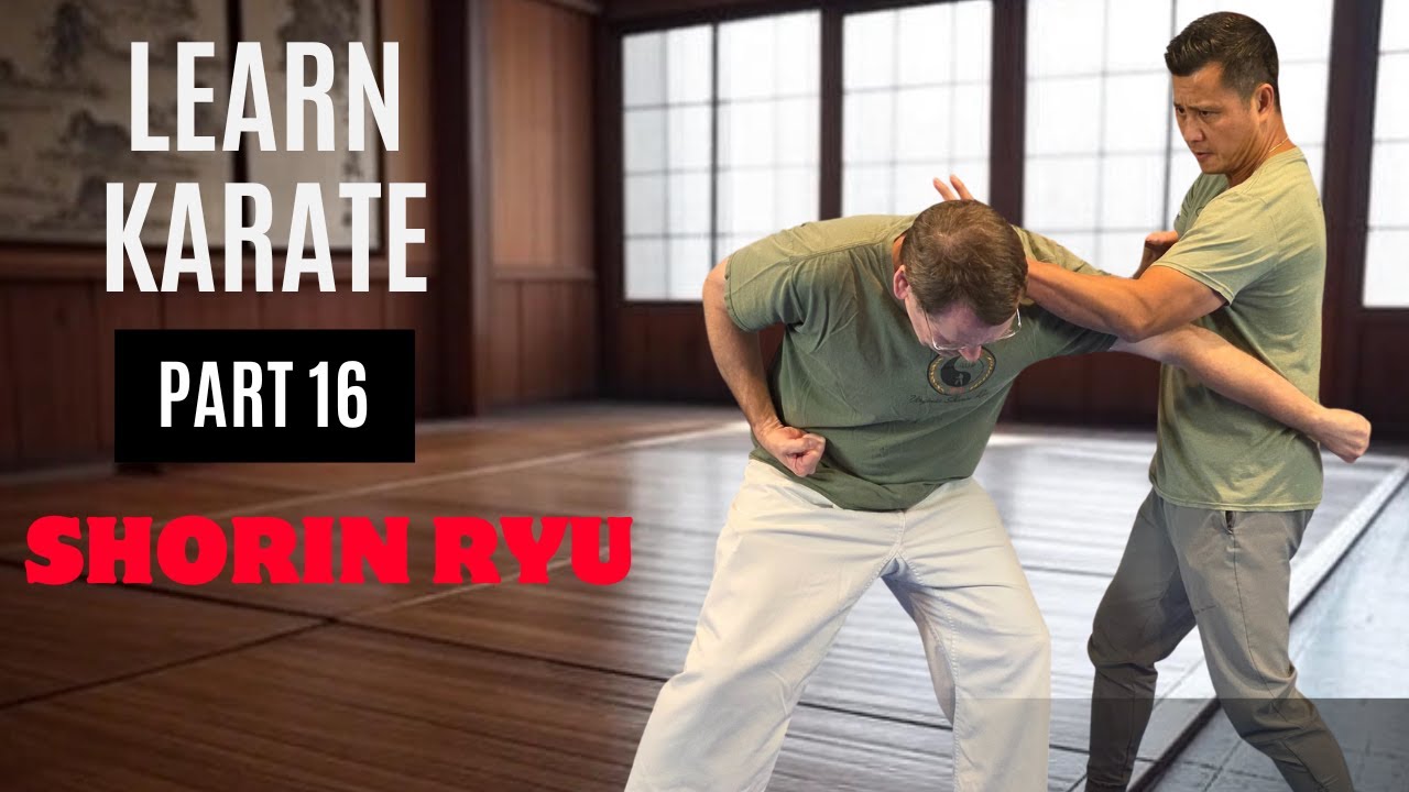 Учебник боевых искусств | Сёрин-рю | Часть 16 (Рохай-ката и применение)