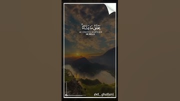 ولله ملك السماوات والأرض وما بينهما بصوت القارئ عمير شميم