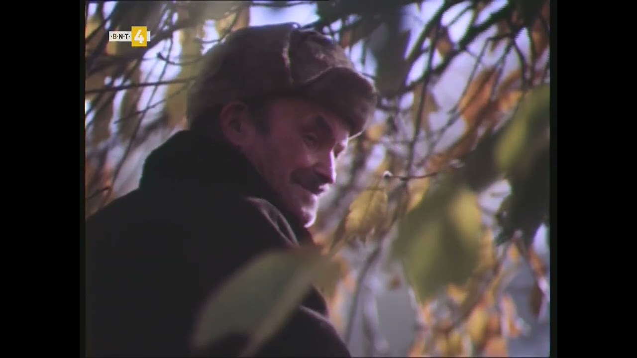 Черешова градина (1979)