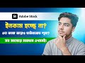 Adobe Stock নতুনদের সবচেয়ে বড় সমস্যা | ডাউনলোড না আসার কারণ