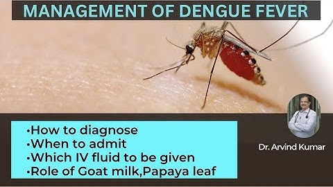 Dengue Fever | Dr Arvind Kumar