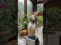 #food #shorts #cookingshorts #recipe #foodvideo