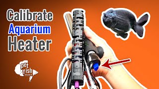 Goldfish Aquarium Setup | How to calibrate aquarium HEATER?