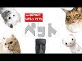 ペット