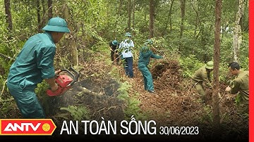 Tăng cường công tác PCCC rừng mùa nắng nóng | An toàn sống | ANTV