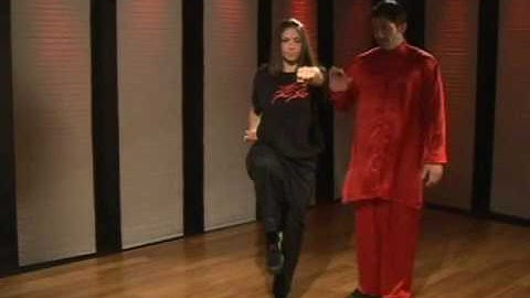 Kung Fu Tan Tui 2 Left Side to Right Side Transition