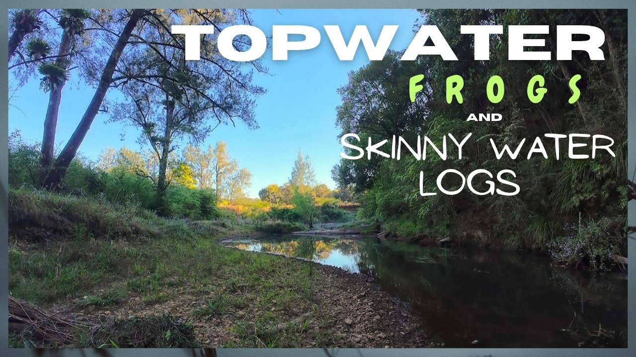 TOPWATER FROGS and Skinny Water Logs ! Wild Bass Fishing !!