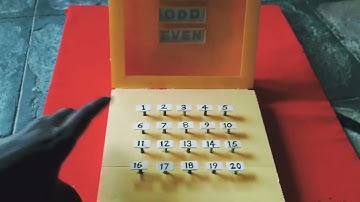 Even Odd Prime Number Detector   Maths DIY project
