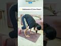 "Follow/Subscribe For Daily Yoga Poses and Benefits"#yoga#crowpose#yogapractice #viral#yogalife