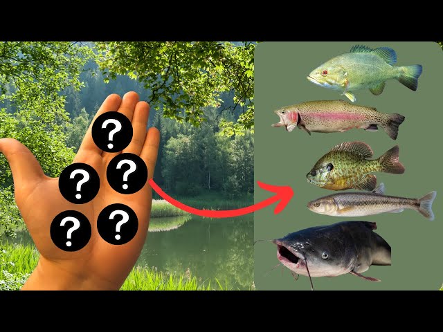 amazon.com fishing lures Bestsellers: The most popular items in Diving color:MI061 1 Goloni Okuma Aria Spinning Reel