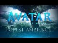 Avatar The Way Of Water Forest Ambient Soundscape 