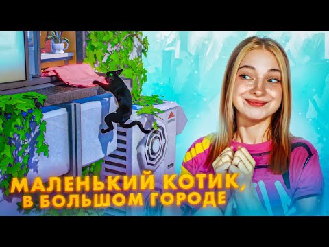 Видео: МАЛЕНЬКИЙ КОТИК потерялся в БОЛЬШОМ ГОРОДЕ ► Little Kitty, Big City