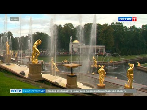 Video: Sankt-Peterburgning Botanika Bog'ida Orkide Ko'rgazmasi