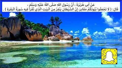 سورة البقرة كاملة للشيخ / عبد الولي الأركاني - طاردة للشياطين