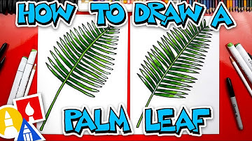 How To Draw A Palm Leaf