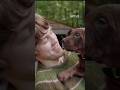 Scooby-Doo: Origins Reveal 🐶