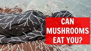 Can Mushrooms Eat You? (What is A Mushroom Burial Suit?)