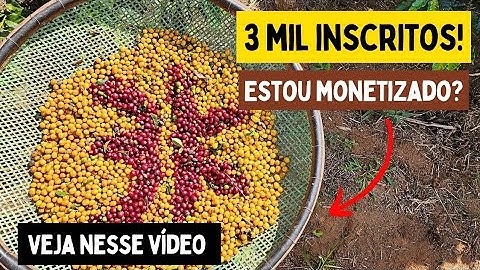 Com 3 mil inscritos eu monetizei? VEJA NESSE VIDEO! OBRIGADO A TODOS INSCRITOS!