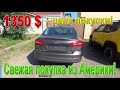 Ford Focus 3 поколение рестайл  2016 год куплен за 1350 $ в Америке - Пригон авто из США в Украину