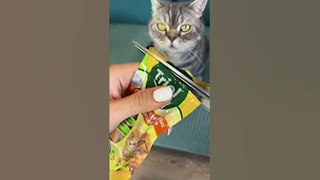 Пробуем кошачьи лакомства. Часть 1. Что попробовать следующее?