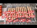 للاول مره (كباب الدجاج العراقي ) من الاف الى الياء من الشيف سنان العبيدي Sinan Salih Hähnchen Spieß