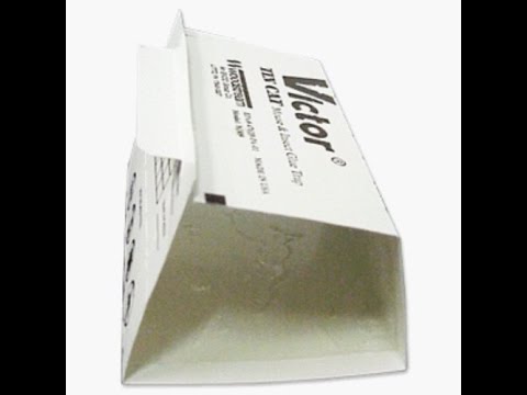 Victor Tin Cat Mouse & Insect Glue Trap 72/cs