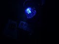 ホタルランプ LED 新色コバルトブルー
