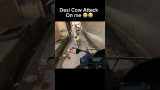 Desi cow attack on me shortsviral shortsfeed shortsvideo r15lover viral shorts