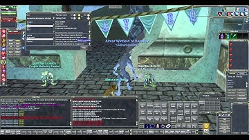 Everquest - Mercenaries (Video Explanation)