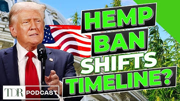 Hoe het hennepverbod de herindeling van cannabis beïnvloedt | TDR Cannabis in 5