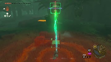 [DAY 764] of finding one korok seed in TotK everyday until we get them all