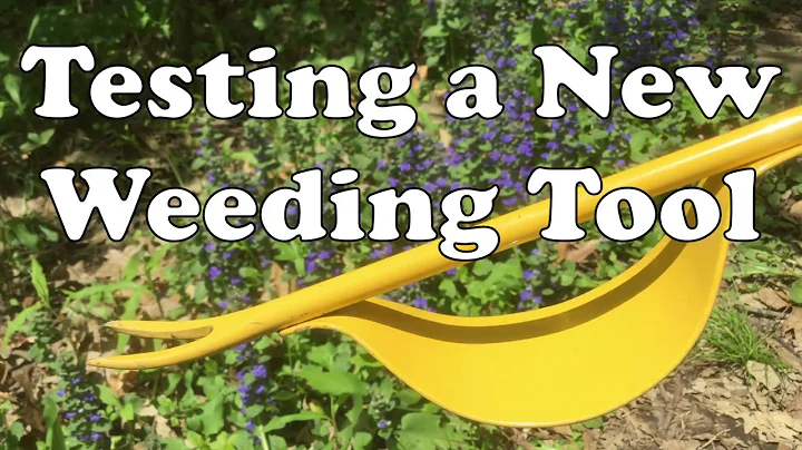 Testing A New Weeding Tool  Dandelion Puller  Gran...